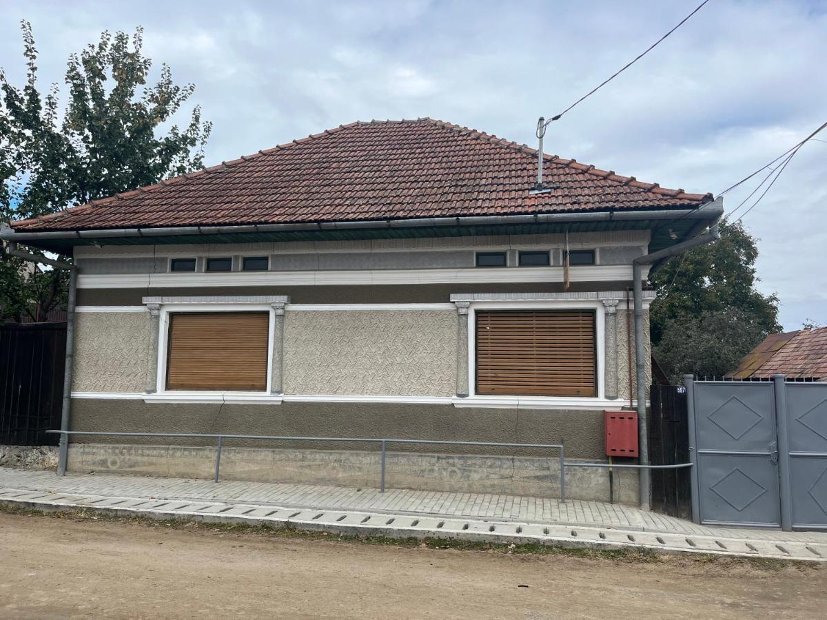 Casa Lucian Apartment Cartisoara Exterior photo
